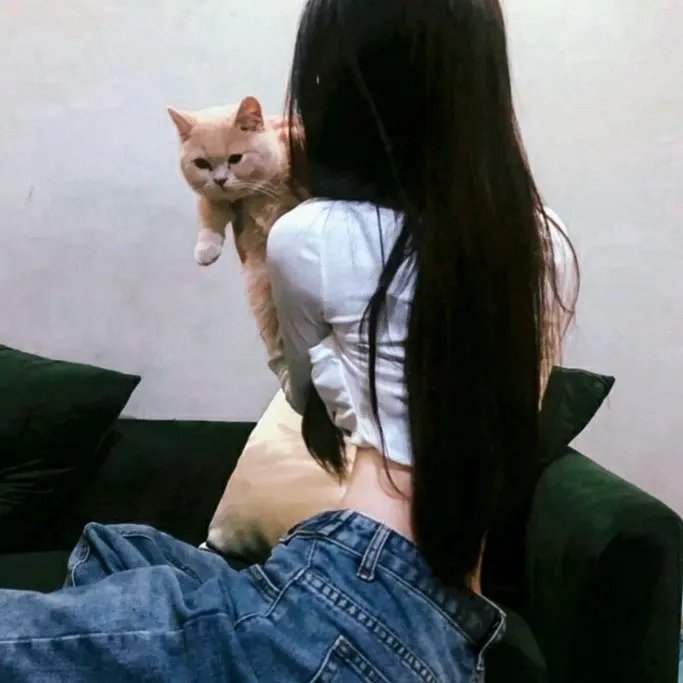 综艺玩很大